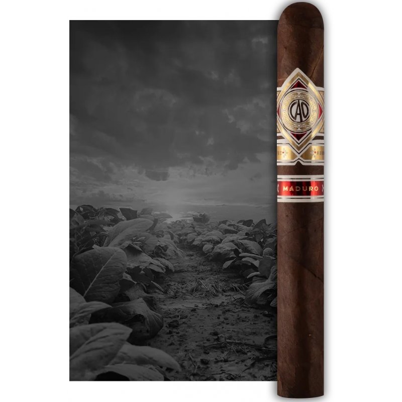 Trabucuri CAO Gold Maduro Robusto (20) fumez trabuc