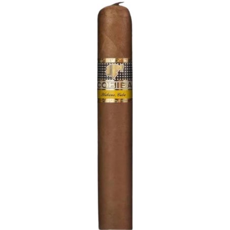 Trabucuri Cohiba Ambar (10)