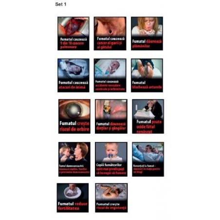 Trabucuri Flor de Selva Ano de la Serpiente 2025 Piramide (10)