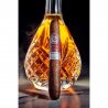 Trabuc Rocky Patel Fifty Five Robusto 1 cel mai bun pret