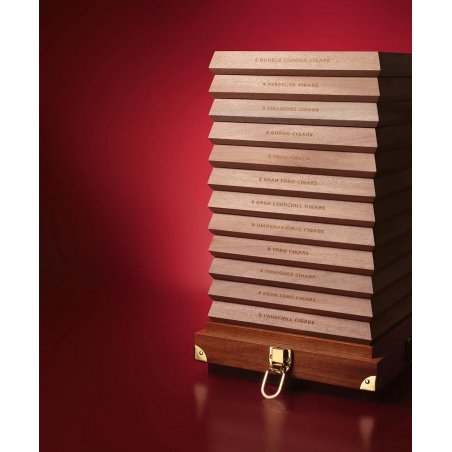 Trabucuri Davidoff The Year of Collector’s Edition 96