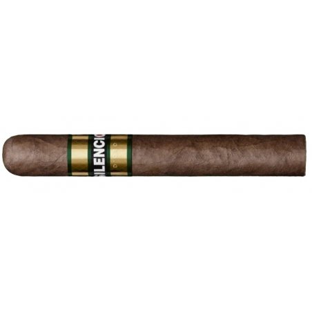 Trabucuri Silencio D'Oro Robusto 20 cel mai bun pret