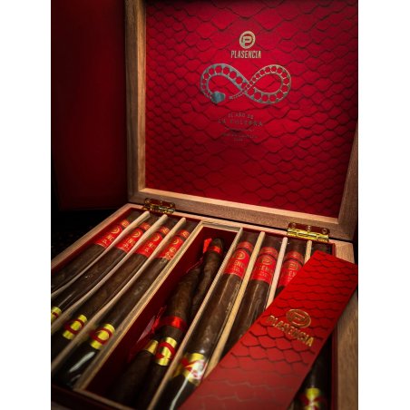 Trabucuri Plasencia Year of the Snake Limited Edition 2025 (10)