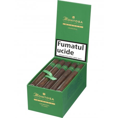 Trabucuri Montosa Maduro Churchill (20) cel mai bun pret
