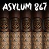 Trabucuri Asylum 867 Midnight Oil Gordo (20)