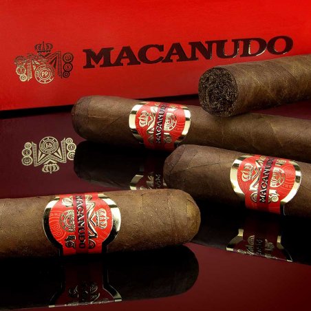 Trabucuri Macanudo Inspirado Orange Robusto (20)