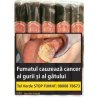 Trabucuri Oro De Esteli Habano Bundle Magnum (10)