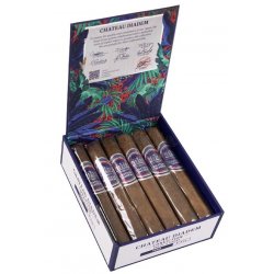 Trabucuri Chateau Diadem Conviction Toro 12