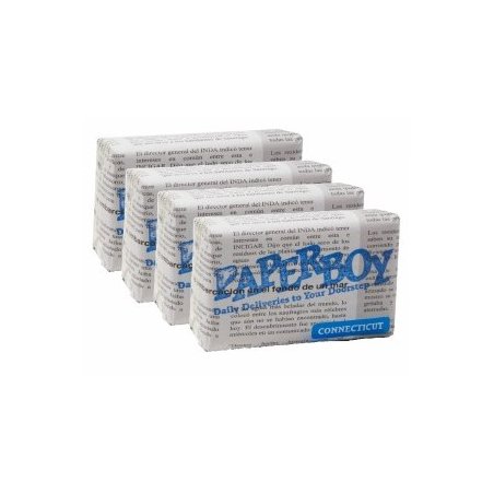 Trabucuri Artista Paperboy Connecticut Petit Corona 32