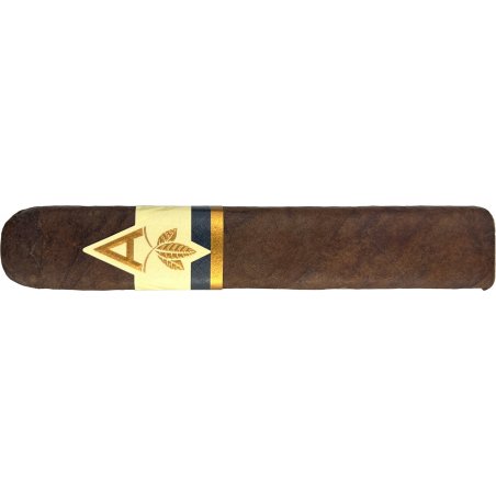 Trabucuri Artista Midnight Robusto Maduro 20