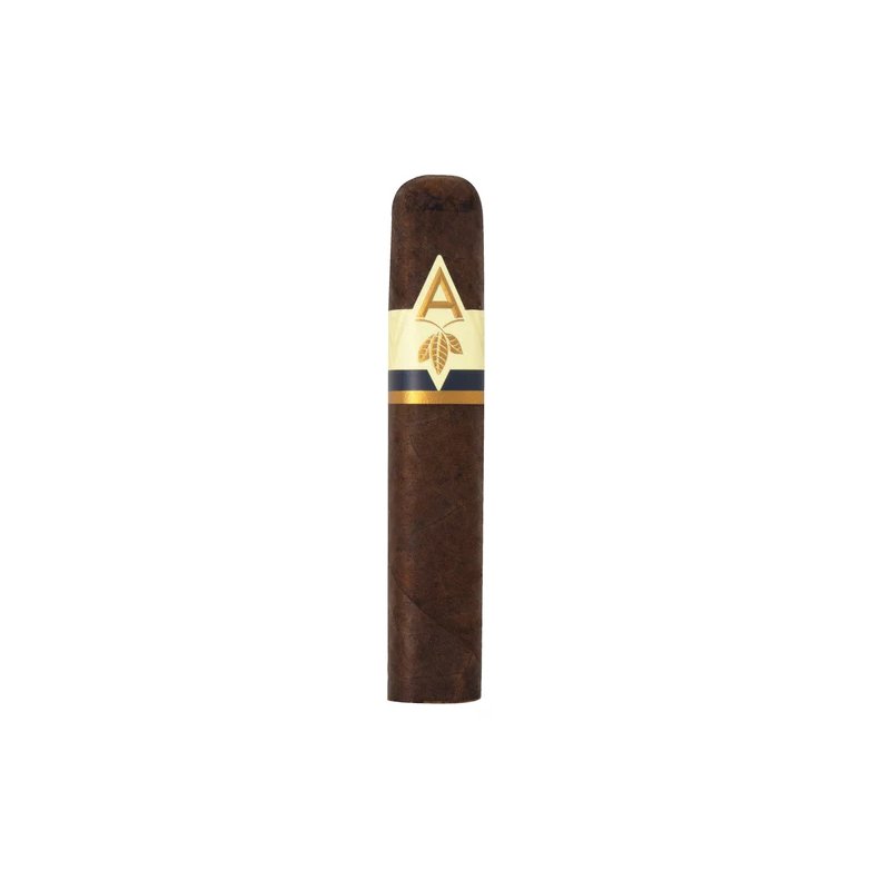 Trabucuri Artista Midnight Robusto Maduro 20