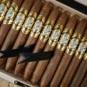 Trabucuri Gurkha Kingdom Figurado Limited Edition 15