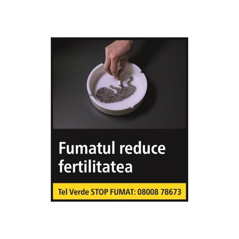 Set trabucuri si humidor Continente Oro Robusto 20