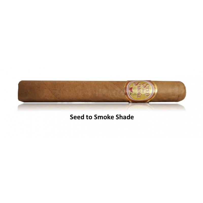 Trabucuri Rocky Patel Seed to Smoke Toro Shade 10