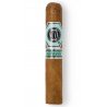 Trabucuri Platinum Nova Batch Sweet Robusto 20