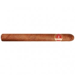Trabucuri Arturo Fuente Curly Head Natural (20)