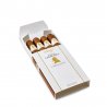Trabucuri Winston Churchill Robusto 20( 5x 4)