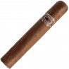Trabucuri PDR El Criollito Rosado Robusto 24