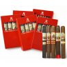 Trabucur AJ Fernandez Toro Sampler 25 (5 x5)