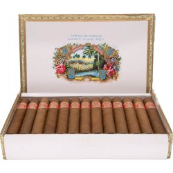 Trabucuri Saint Luis Rey Regios (25)