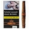 Trabucuri Toscano Robusto (4)