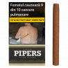 Tigari de foi Pipers Classic Club 10