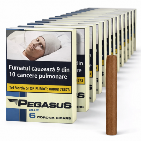 Tigari de foi Pegasus Corona Blue (120) 20 Pachete