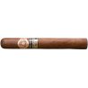 Trabucuri Ramon Allones Edición Limitada Absolutos 2024 (20)