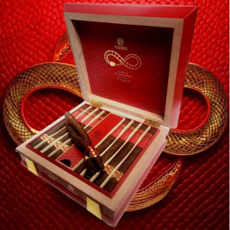 Trabucuri Plasencia Year of the Snake Limited Edition 2025 (10)