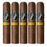 Trabucuri Davidoff Puro Dominicano Short Robusto 5