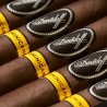 Trabucuri Davidoff Puro Dominicano Short Robusto 5
