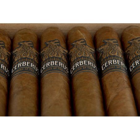 Trabucuri Aganorsa Leaf Guardian of the Farm Cerberus Robusto 15