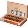 Trabucuri La Aurora Dominicana Short Robusto (10)