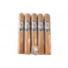 Trabucuri Guillermo Pena GP Connecticut Robusto (20)