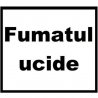 Trabucuri Rocky Patel Emerald Sixty (20)
