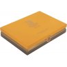 Trabucuri Rocky Patel Gold Label Sixty (20)