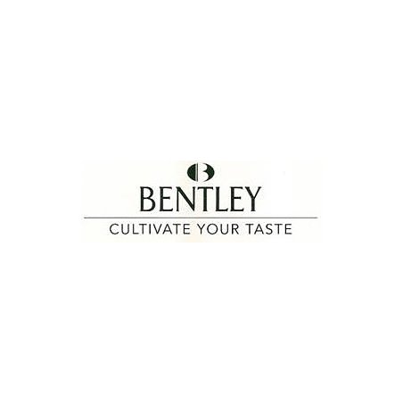 Trabucuri Bentley Robusto 10 