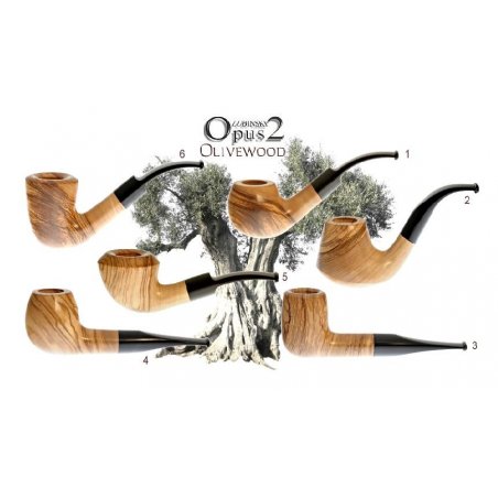 Pipa Opus 2 Olivewood Lubinski A3555