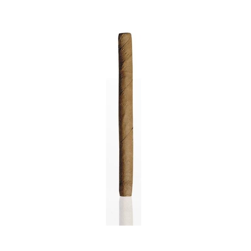Tigari de foi Partagas Serie Club 10