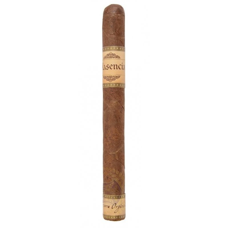 Trabucuri Plasencia Reserva Organica Churchill 20