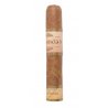 Trabucuri Plasencia Reserva Organica Robusto 10