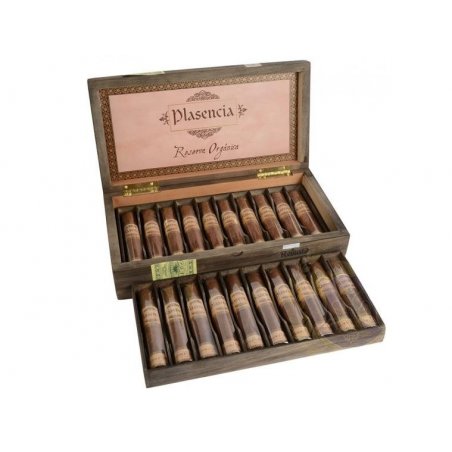 Trabucuri Plasencia Reserva Organica Robusto 20