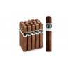 Trabucuri Schizo Robusto 20