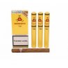 Trabucuri Montecristo Tubos 3