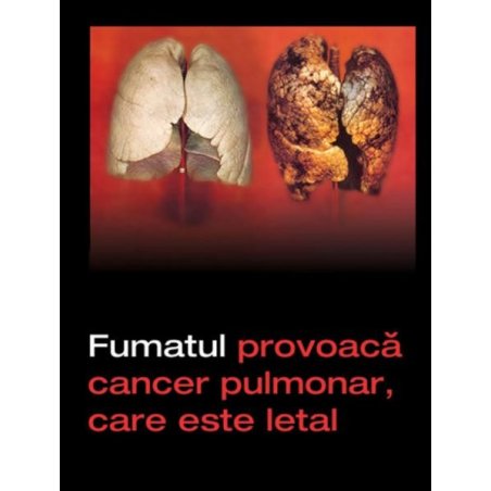 Trabucuri Vegueros Tapados 4