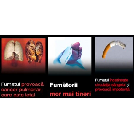 Trabucuri Rocky Patel 20th Anniversary Robusto Grande 20