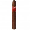 Trabucuri Joya de Nicaragua Joya Red Robusto 10