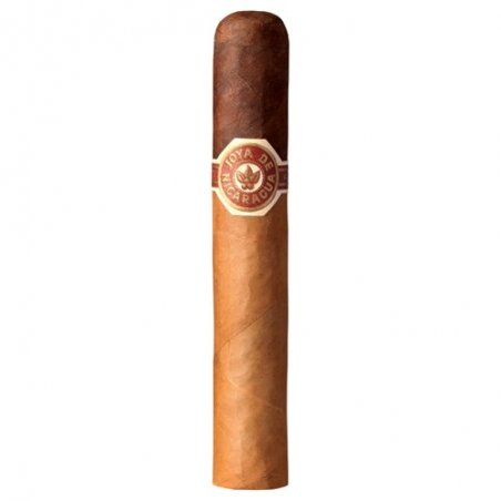 Trabucuri Joya de Nicaragua Cabinetta Robusto 20