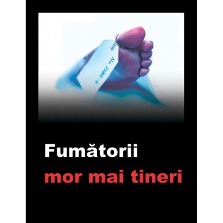 Trabucuri Te Amo Churchill Dominicana Blend 15