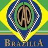 Trabucuri Cao Brazilia Corcovado 20